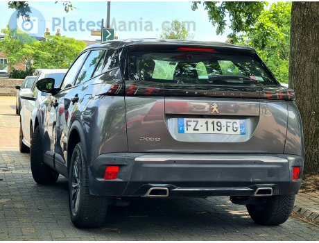 FZ-119-FG, Peugeot 2008