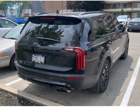 00187 H/V, Kia Telluride