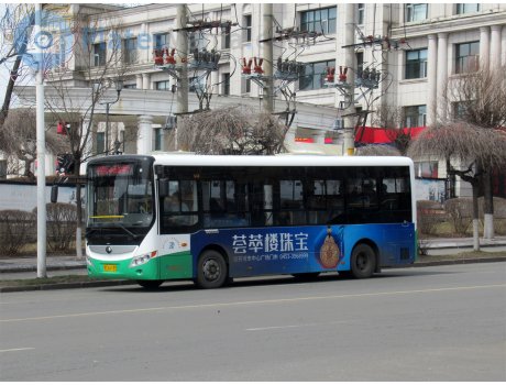 黑C·A1195, Yutong E8