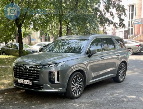 023 BKW 02, Hyundai Palisade