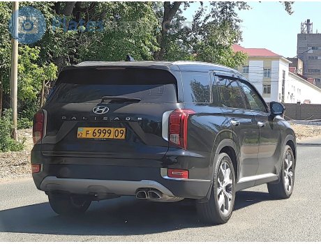 F 6999 09, Hyundai Palisade