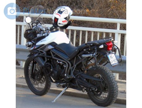 BG 49-907, Triumph Motorcycles