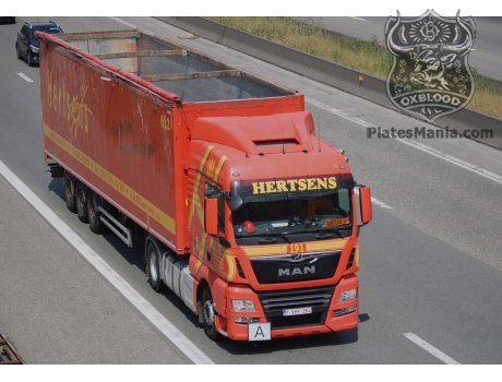 1-XHY-254, MAN TGX