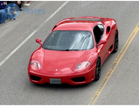 SHARKMAN, Ferrari 360