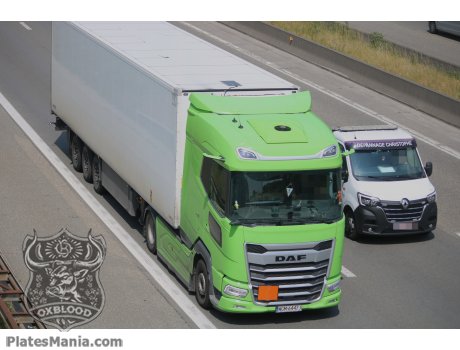 WGM 6447J, DAF XG