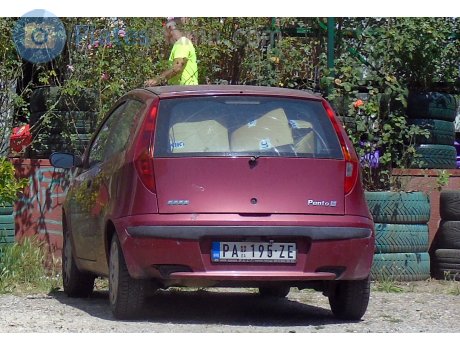 PA 195-ZE, FIAT Punto