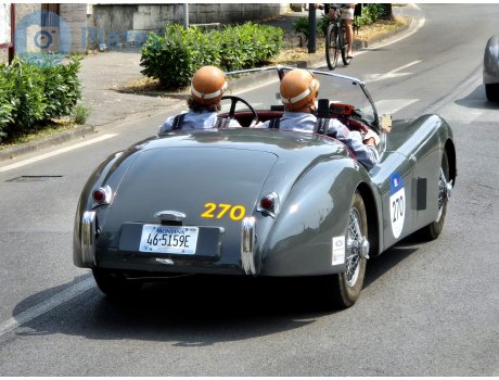 46-5159E, Jaguar XK120