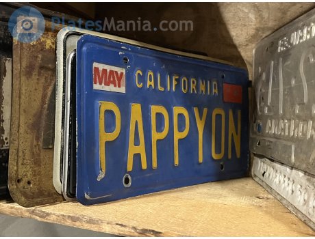 PAPPYON, License plate without vehicle