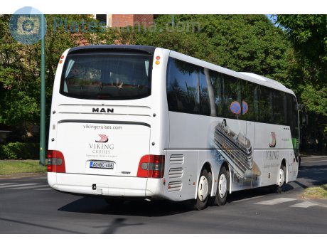 AO BC-406, MAN Lion