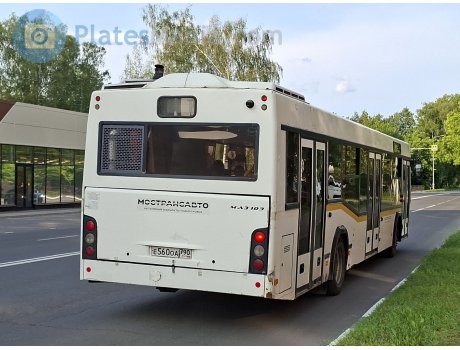 е560оа790, MAZ 103