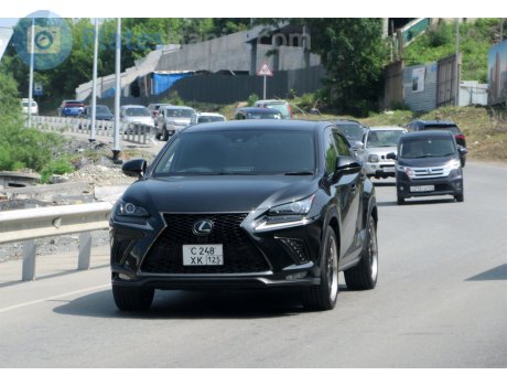 с248хк125, Lexus NX