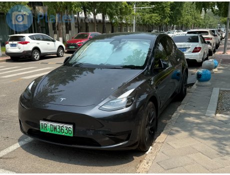 冀R·DW3636, Tesla Model Y