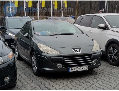EWE 9W70, Peugeot 307