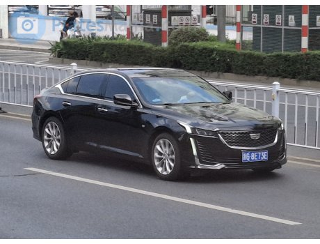 浙G·8E73E, Cadillac