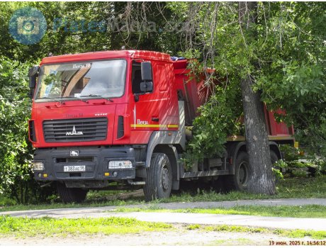 т383ае58, MAZ 6501