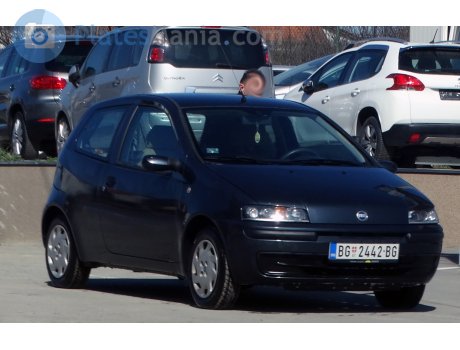BG 2442-BG, FIAT Punto