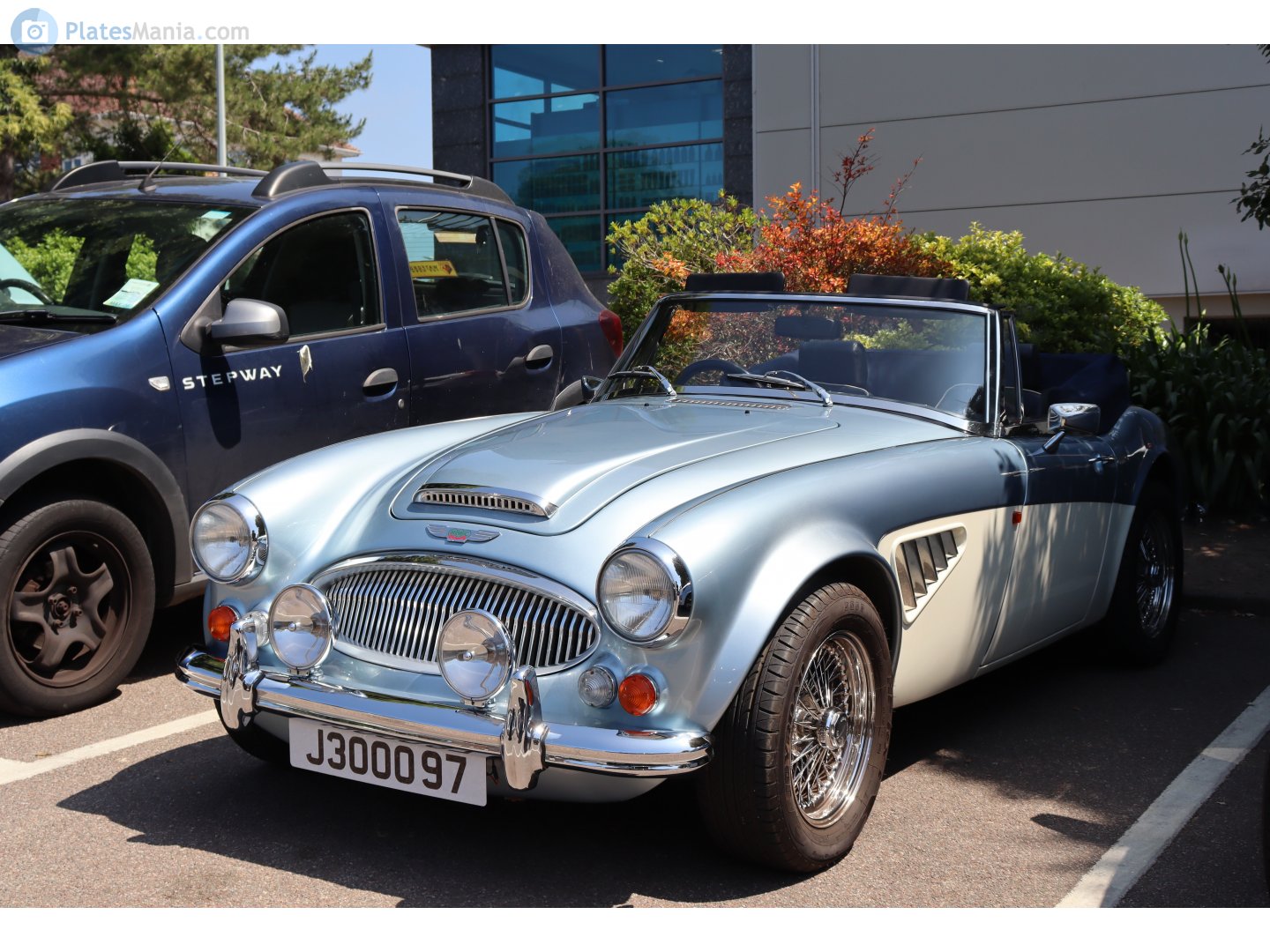 J300097, Austin-Healey 100/3000 