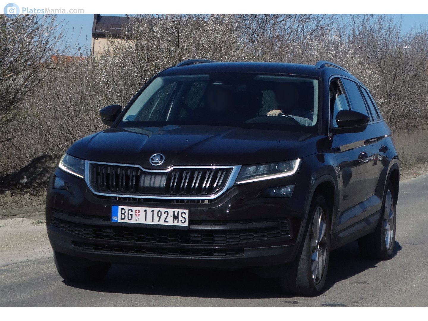 BG 1192-MS, Skoda Kodiaq 1st gen (NS7), 2016–2021