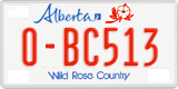 Alberta, Rental cars (X-AB123)