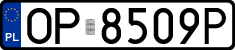 License plates of Poland, Regular car plates
