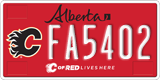 Alberta, Calgary Flames (FA1234)