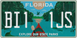 Florida, Specialty plates (XXX XXX)