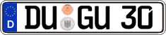 German license plate, Regular plates