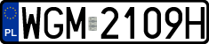 License plates of Poland, Regular car plates