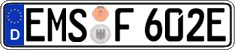 German license plate, Electric vehicles