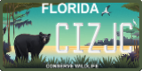 Florida, Specialty plates (XXXXX)