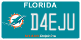 Florida, Specialty plates (XXXXX)