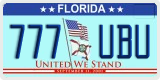Florida, Specialty plates (XXX XXX)