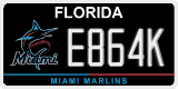 Florida, Specialty plates (XXXXX)