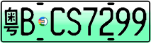 License plate of China, Electric vehicles