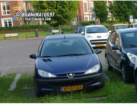 87-DT-DT, Peugeot 206