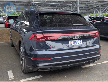 G667, Audi Q8
