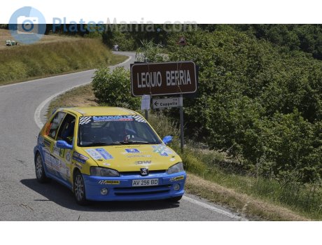 AV 256 BD, Peugeot 106