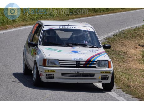 TO 44977L, Peugeot 205