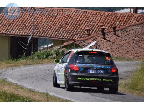 CJ 890 DC, Peugeot 206