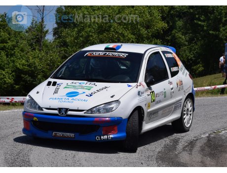 CL 848 LZ, Peugeot 206