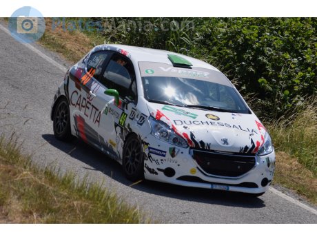 FH 164 AW, Peugeot 208