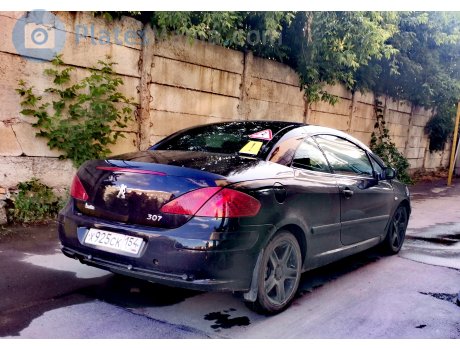 х925ск154, Peugeot 307