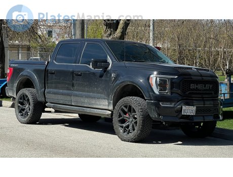 80372X3, Ford F-150