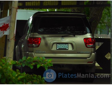 DUCKD0G, Toyota Sequoia