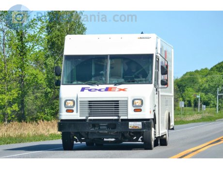 1FH4409, Ford F-59