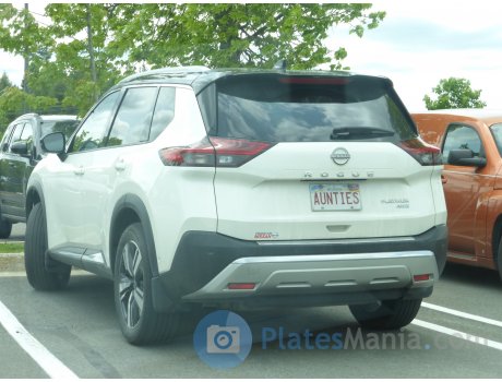 AUNTIES, Nissan Rogue