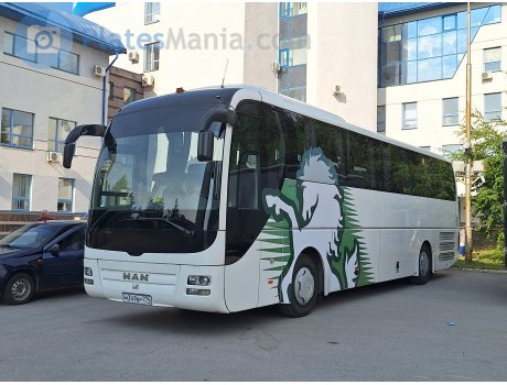 м349вр774, MAN Lion
