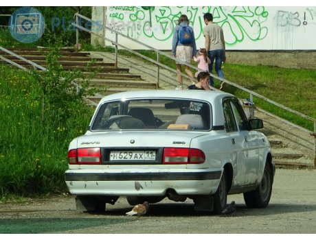 н629ах11, GAZ 3110 Волга