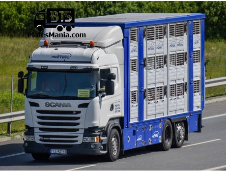 PLE 42176, Scania R-Series