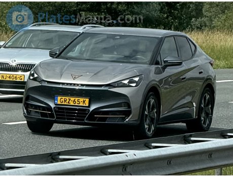 GRZ-65-K, Cupra Tavascan
